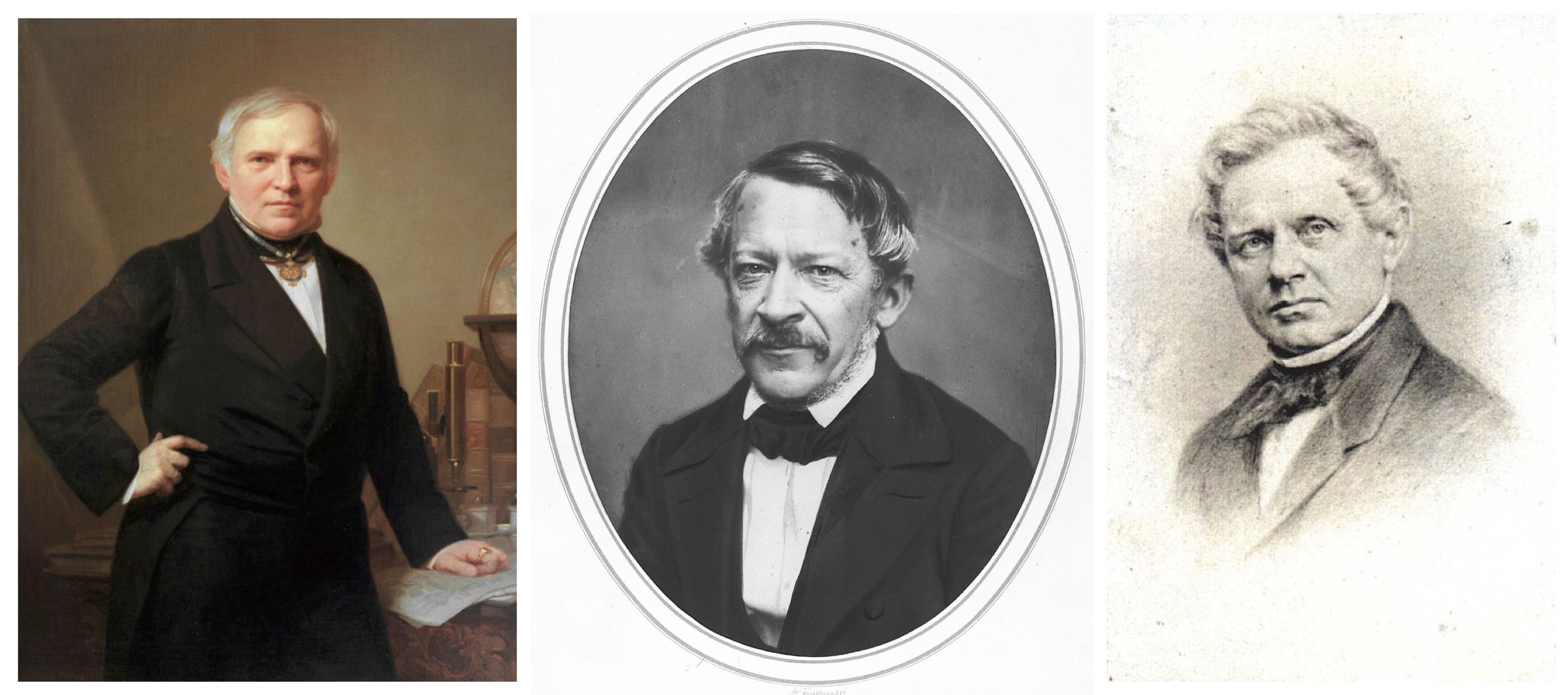 Ehrenberg_Dove_Magnus