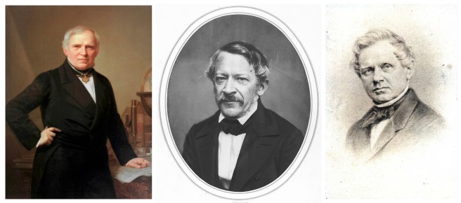 Ehrenberg_Dove_Magnus